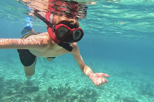 Snorkeling photo 13