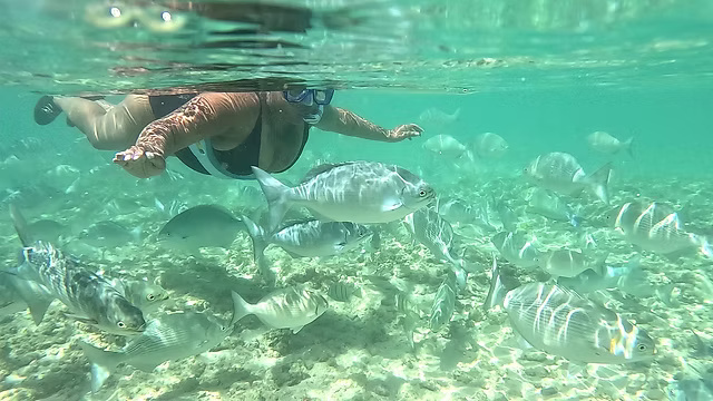 Snorkeling photo 2